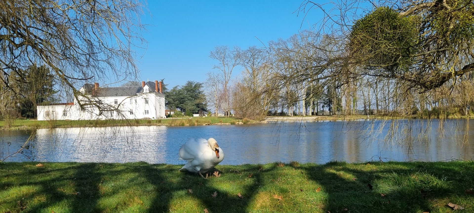 Le Manoir de la Boulaie — le parc paysager